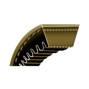 V-Belts - Rexon AX Notched | A, AX, SPA, SPAX, 68, AA