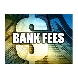 International Bank Transaction Fee | Admin, Bank & Int Frt Fees