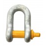 Shackle - Titan Dee