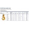 Pewag G10 Clevis Safety Hook