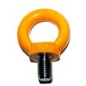 High Strength Metric - SLR G80 Eye Bolt