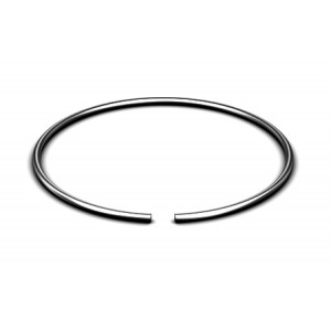 Lever Hoist - Titan HSH Bottom Hk Locking Ring | Parts