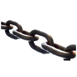 10mm x 51P AMG LL FOW Chain S/C - Per Mtr | Feed Out Wagon Chain | AGRI Convayor Chain & Sprocket