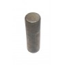Titan Clamp Pivoting Shackle Pin - No.12